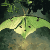 Luna Moth Insect Diamond Painting