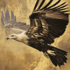 Majestic Flying Vulture Diamond Painting