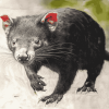 Majestic Tasmanian Devil Diamond Painting