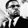 Malcolm X Black And White Diamond Painting