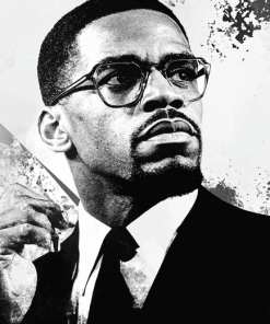 Malcolm X Black And White Diamond Painting