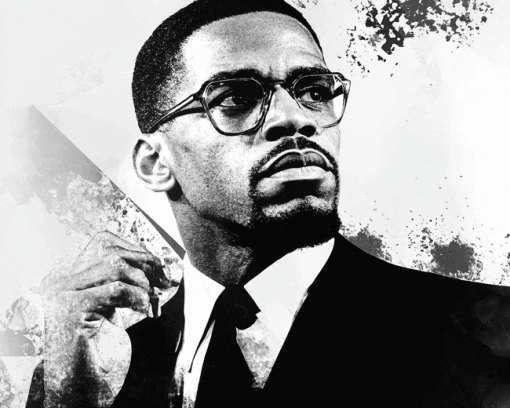 Malcolm X Black And White Diamond Painting