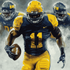 Michigan Football Stars Diamond Painting