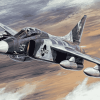 Military McDonnell Douglas F4 Airplane Diamond Painting