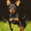 Miniature Pinscher Puppy Diamond Painting