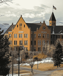 Montana State University Campus Diamond Painting