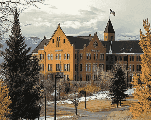 Montana State University Campus Diamond Painting