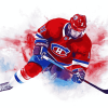 Montreal Canadiens Hockey Diamond Painting