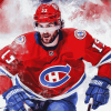 Montreal Canadiens NHL Player Diamond Painting