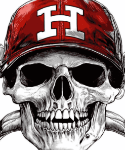 Nebraska Huskers Blackshirts Skull Diamond Painting