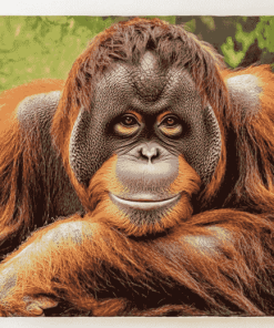 Orangutans Jungle Diamond Painting