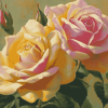 Peace Roses Blossom Diamond Painting