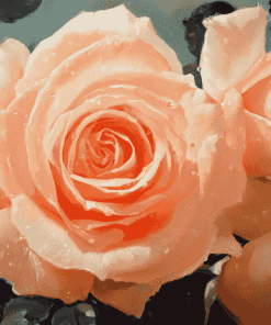 Peach Rose Blossom Diamond Painting