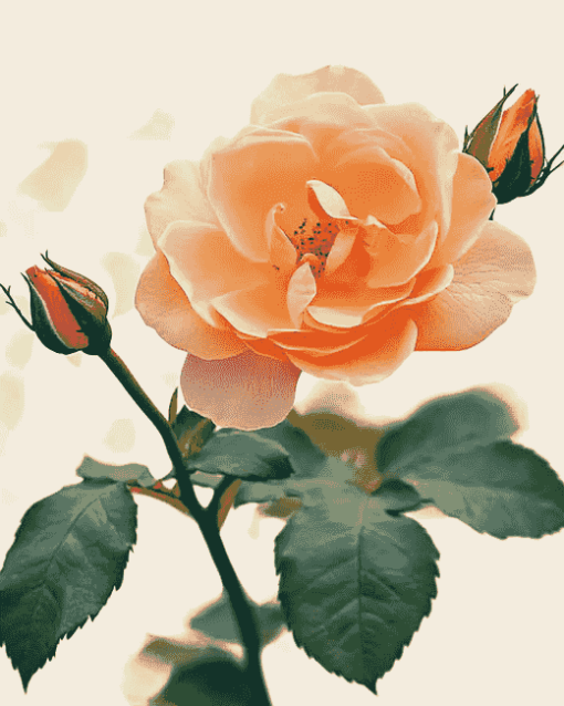 Peach Rose Blossoms Diamond Painting