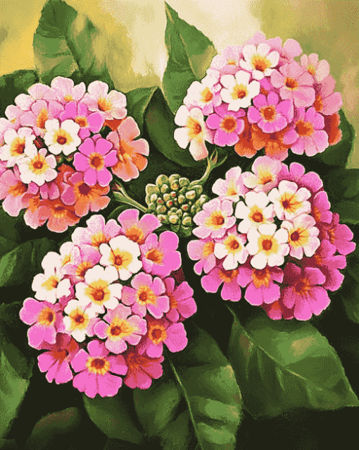 Pink Lantanas and Roses Diamond Painting