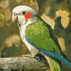 Quaker Parrot Diamond Painting