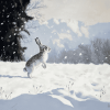 Rabbit Dancing in Snowy Mountains Diamond Painting