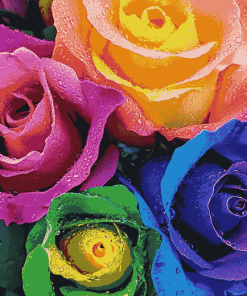 Rainbow Flower Blossoms Diamond Painting