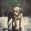 Rainy Day Dog Diamond Painting