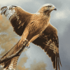 Red Kite Birds Diamond Painting