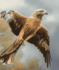 Red Kite Birds Diamond Painting