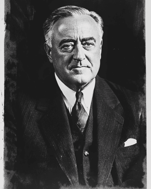 Roosevelt Black And White Diamond Painting