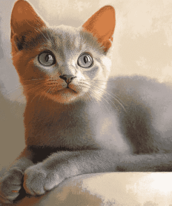 Russian Kitty Diamond Painting