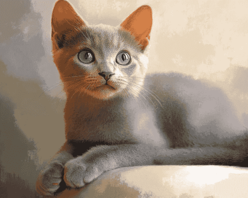 Russian Kitty Diamond Painting