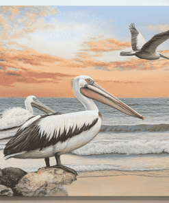 Seaside Pelican Diamond Painting