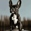 The Frenchton Puppy Charm Diamond Painting