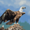 Vulture and Eagle Birds Diamond Painting