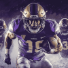 Washington Huskies Football Diamond Painting