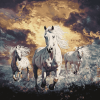 White Horses Elegance Diamond Painting