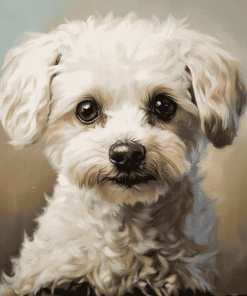 White Yorkiepoo Puppy Diamond Painting