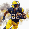 Wolverine Football Legend Diamond Painting