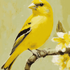 Yellow Finch Bird Diamond Painting