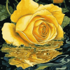 Yellow Rose Blossom Diamond Painting