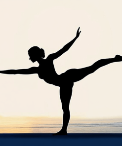 Yoga Silhouettes Sport Diamond Painting